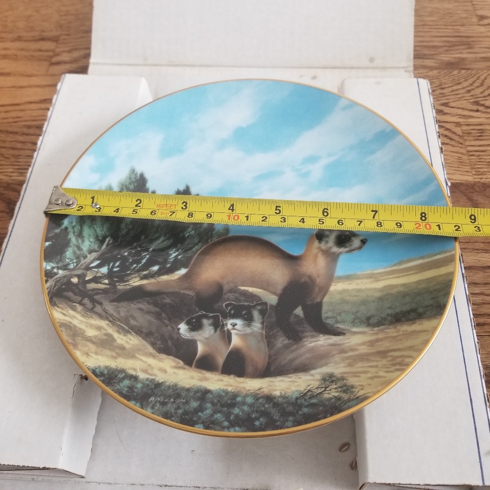 W.S George "The Black-Footed Ferret" Collector Classic Art Nature Gift Beautiful - Picture 2 of 6